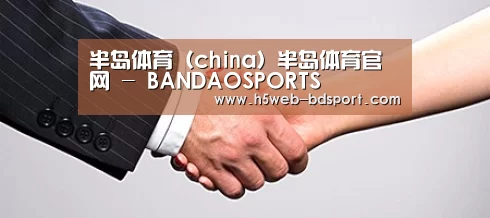 关于半岛体育