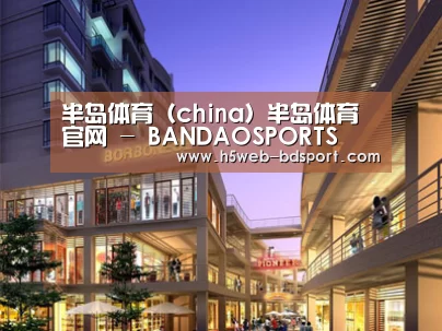 案例展示一(图1)