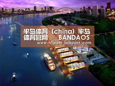 案例展示八