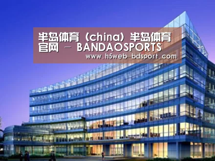 案例展示五