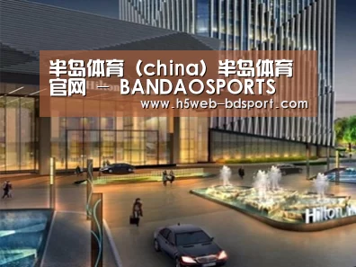 案例展示二