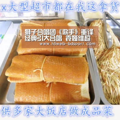 狮子合唱团《歌手》重译经典引大合唱 袁娅维超前卫舞台震撼全场:半岛体育官网(图2) 半岛体育注册