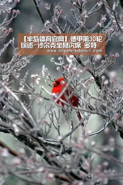 半岛体育下载