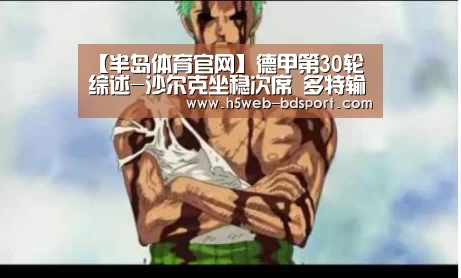 半岛体育APP